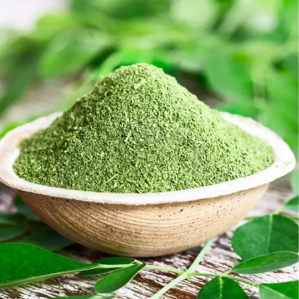 Moringa — photograph 2