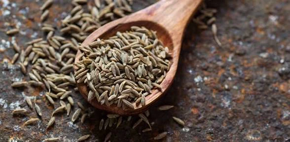 Cumin — photograph 1